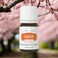 Young Living  Tangerine Vitality Essential Oil 5 ml  Contains Antioxidants  Immune Support  Dietary Supplement  Sweet Citrus Flavor Enhancer for Foods  Beverages