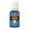 Cool Azul Sports 15 ml Oil by Young Living Essential Oil