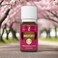 ImmuPower Essential Oil Blend by Young Living 15 Milliliters Topical and Aromatic