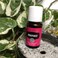 ImmuPower Essential Oil Blend by Young Living 15 Milliliters Topical and Aromatic
