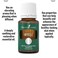 Myrtle Essential Oil by Young Living  15ml