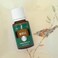 Myrtle Essential Oil by Young Living  15ml