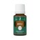 Myrtle Essential Oil by Young Living  15ml