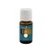 Sage Essential Oil 15m by Young Living Essential Oils