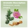 doTERRATerraShield Essential Oil Outdoor Blend  15 mL