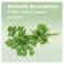 doTERRACilantro Essential Oil  15 mL
