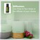 doTERRACilantro Essential Oil  15 mL