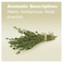 doTERRA  Thyme Essential Oil  15 mL