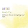 Aura CaciaGinger Essential Oil  GCMS Tested for Purity  15ml 05 fl oz
