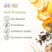 Aura CaciaGinger Essential Oil  GCMS Tested for Purity  15ml 05 fl oz