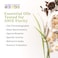 Aura Cacia Essential Solutions Mist Pillow Potion 2 Fluid Ounce