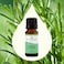 Plant Therapy Rosemary Essential Oil for Hair Growth 100 Pure Undiluted Natural Aromatherapy for Diffuser  Rosemary Oil for Hair  Scalp Therapeutic Grade 10 mL 13 oz