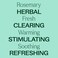 Plant Therapy Rosemary Essential Oil for Hair Growth 100 Pure Undiluted Natural Aromatherapy for Diffuser  Rosemary Oil for Hair  Scalp Therapeutic Grade 10 mL 13 oz