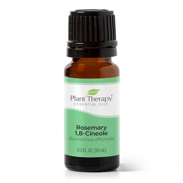 Plant Therapy Rosemary Essential Oil for Hair Growth 100 Pure Undiluted Natural Aromatherapy for Diffuser  Rosemary Oil for Hair  Scalp Therapeutic Grade 10 mL 13 oz