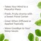 Plant TherapyTranquil Essential Oil Blend  Peace  Calming Blend 100 Pure Undiluted Natural Aromatherapy Therapeutic Grade 10 mL 13 oz