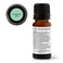 Plant TherapyEucalyptus Mint Essential Oil Blend 10 mL 13 oz Invigorating Breathe Easier Aromatherapy Blend for Diffusers Home Shower Aromatherapy 100 Pure Undiluted Therapeutic Grade