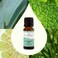 Plant TherapyEucalyptus Mint Essential Oil Blend 10 mL 13 oz Invigorating Breathe Easier Aromatherapy Blend for Diffusers Home Shower Aromatherapy 100 Pure Undiluted Therapeutic Grade