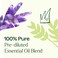 Plant Therapy KidSafe Germ Destroyer Essential Oil Blend  Guard from Illness Support Blend for Kids 100 Pure PreDiluted RollON Natural Aromatherapy Therapeutic Grade 10 mL 13 oz