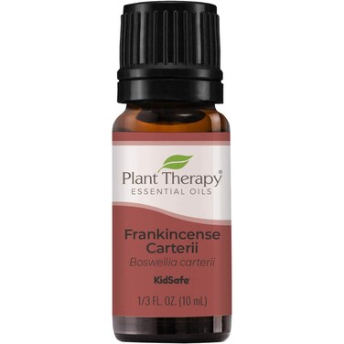 Plant Therapy Frankincense Carterii Essential Oil 100 Pure Undiluted Natural Aromatherapy Therapeutic Grade 10 mL 13 oz