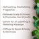 Plant TherapyOrganic Peppermint Essential Oil 100 Pure PreDiluted RollOn Natural Aromatherapy for Neck Tension Muscle Discomfort  Cooling Therapeutic Grade 10 mL 13 oz