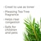 Plant Therapy Tea Tree Melaleuca Hydrosol 4 oz byProduct of Essential Oils