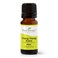 Plant TherapyYlang Ylang Extra Essential Oil 10 mL 13 oz 100 Pure Undiluted Therapeutic Grade