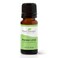 Plant Therapy Persian Lime Essential Oil 10 mL 13 oz 100 Pure Undiluted Natural Aromatherapy Therapeutic Grade