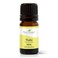 Plant Therapy Yuzu Essential Oil 5 mL 16 oz 100 Pure Undiluted Therapeutic Grade