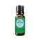 Edens Garden Focus Focus Focus Essential Oil Blend 100 Pure Premium Grade Undiluted Natural Therapeutic Aromatherapy The Best for Diffusing Kid Safe Humidifiers Skin 10 ml 33 fl oz