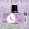 Rocky Mountain OilsPurify Lavender Essential Oil  Organic Diffuser Oil Frankincense Sage Oil Pure Essential Oils for Diffuser and Aromatherapy Perfect for Hotel Spa Sleep Diffuser Oil