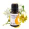 Rocky Mountain Oils  Mind Alive Essential Oil Blend  15 ml  Natural Essential Oil Blend