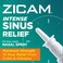Zicam Intense Sinus Relief Nodrip Liquid Nasal Spray with Cooling Menthol  Eucalyptus 05 Ounce Pack of 2