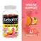 Airborne Kids Assorted Fruit Flavored Gummies 42 count  500mg of Vitamin C and Minerals  Herbs Immune Support Packaging May Vary  Pack of 2