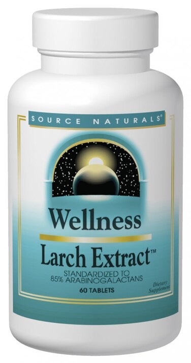 Source Naturals Wellness Larch Extract  Standardized to Arabinogalactans  60 Tablets