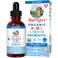 Kids Probiotic Liquid Drops by MaryRuths  USDA Organic Probiotics for Digestive Health  Ages 4 Gut Health  Immune Support Supplement  Overall Health  Vegan  NonGMO  1 Fl Oz
