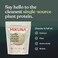 MikunaVegan Protein Powder Vanilla 15 Servings  Plant Based Chocho Superfood Protein  Dairy Free Protein Powder Packed with Vitamins Minerals  Fiber  Gluten Keto  LectinFree