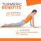 Qunol Turmeric Curcumin Capsules 1000mg Extra Strength Supplement Patented HydroSoluble Technology Alternative to Turmeric Curcumin with Black Pepper 60 Veggie Capsules