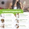 Intestinal FortitudeGLR6  Gut Lining Repair Supplement for Gut Health  Leaky Gut Repair with LGlutamine Slippery Elm DGL Licorice Root Marshmallow Root Fenugreek  IBS IBD GERD  Vegan