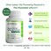 4in1 Plant Based Vegan Vitamin D3 2000IU  K2Vital Vitamin K2 with Turmeric and COQ10  with Avocado Powder for Enhanced Absorption  Heart Bone Cellular Health Support