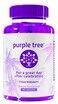 purple treePost Celebration Wellness Vitamins  Liver Support Body Replenisher Rapid Hydration  Dihydromyricetin DHM Milk Thistle Electrolytes Vitamin B Willow Bark Quercetin 60 Pills
