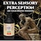 Ormus Monoatomic Gold LTheanine Selenium Zinc for Pineal Gland Detox Lucid Dreaming Kundalini Support Neurological Strength Fusion Focus 4oz