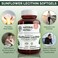 Natural Nutra Sunflower Lecithin Supplement 2000 mg Helps to Improve Liver Function Memory Booster Promotes Brain Health and Focus and Concentration NonGMO Gluten Free 120 Softgels