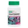 Natures PlusHerbal Actives Chasteberry  60 Vegan Capsules  Reproductive Support  Promotes Hormonal Balance Eases PMS Natural Fertility Aid  Vegetarian GlutenFree  60 Servings