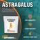 BulkSupplementscom Astragalus Extract Powder  from Astragalus Root Astragalus Supplement  Vegan  Gluten Free Astragalus Powder  500mg per Serving 1kg 22 lbs Pack of 1