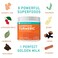 Further Food Best Turmeric Golden Milk Organic Turmeric Powder Cinnamon Ginger  Black Pepper Maximum Absorption Joint Health Gut Health SugarFree Vegan Keto 635 oz