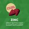 Natures Way Zinc Gummies Daily Immune Support Gummies 100 Daily Value Zinc per Gummy Mixed Berry Flavored 120 Gummies Packaging May Vary