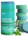 Shower Steamers 8 Pack  Eucalyptus Shower Steamers Aromatherapy Shower Steamer  Eucalyptus Shower Bombs Aromatherapy Shower Tablets Eucalyptus Shower Steamer Shower Steamers Menthol