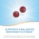 Natures Way Ashwagandha Gummies Reduce Stress with Adaptogenic Herb 125 mg Per 2gummy Serving Berry Flavored 90 Gummies Packaging May Vary
