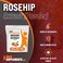 BulkSupplementscom Rosehip Extract Powder  Rose HIPS Supplement Rosehip Powder  Herbal Supplement Antioxidants Source  Gluten Free 500mg per Serving 500g 11 lbs Pack of 1