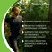 Sustained Release Super C Complex 60 Tablets NaturesPlus